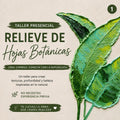 Taller Presencial: Hojas Botánicas en Relieve